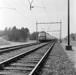 150984 Afbeelding van twee gekoppelde electrische treinstellen mat. 1954 (Hondekoppen) van de N.S. ter hoogte van Hulshorst.